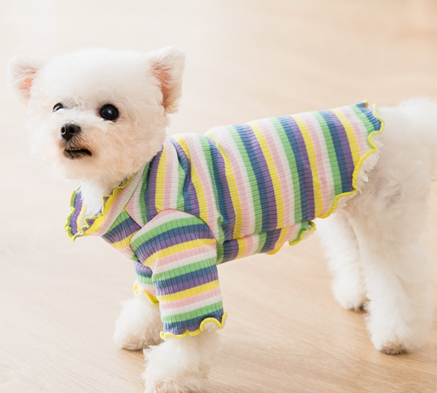 Hot Selling Knit Warm Pet Comfortable Apparel