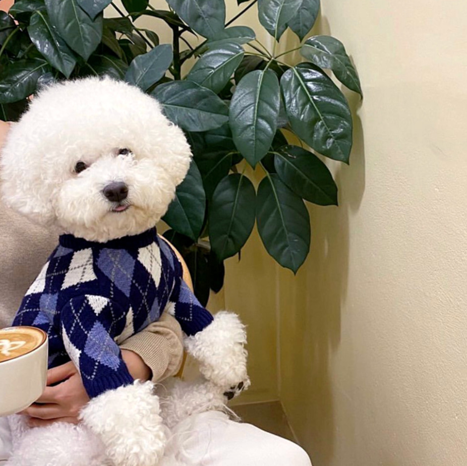 High Quality Warm Pet Cloth Knit Dog Apparel