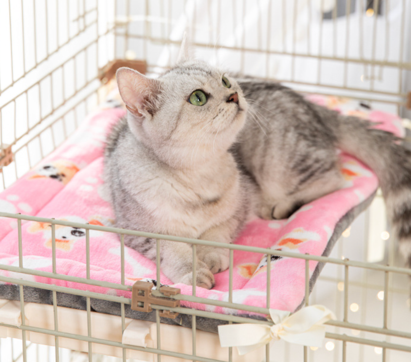 Chen Pet Soft Flannel Customize Pet Mats Fixable Cat Mats