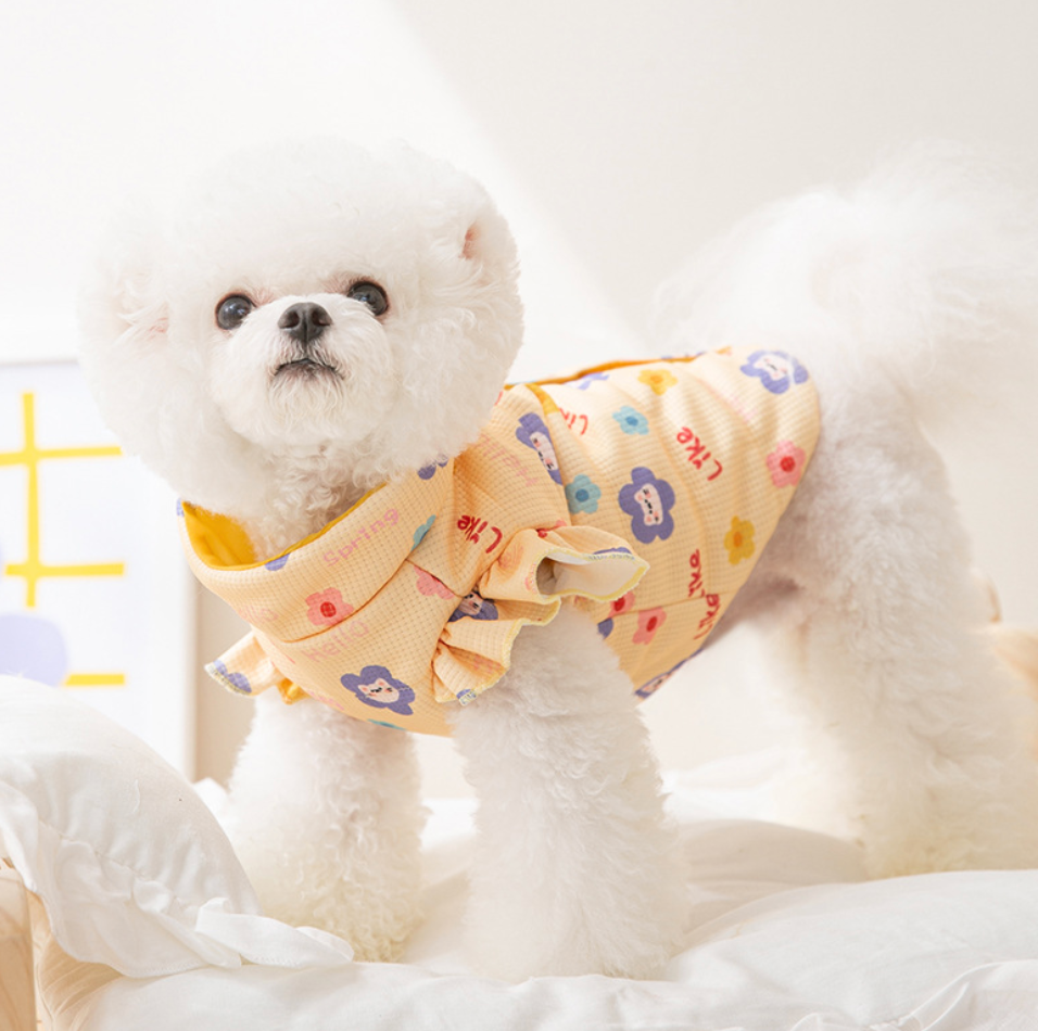 Chen Pet Wholesale High Quality Dog Clothes Pet Clothes