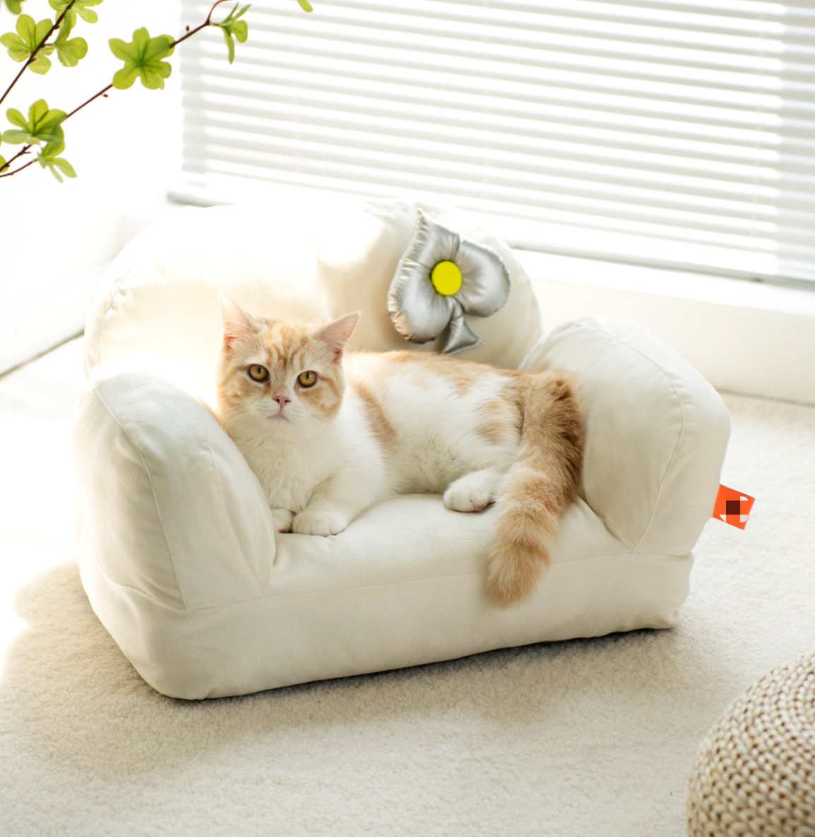 Chenpet New Arrival High Quality  Cat Sofa Easy Clean Velvet Pet Beds