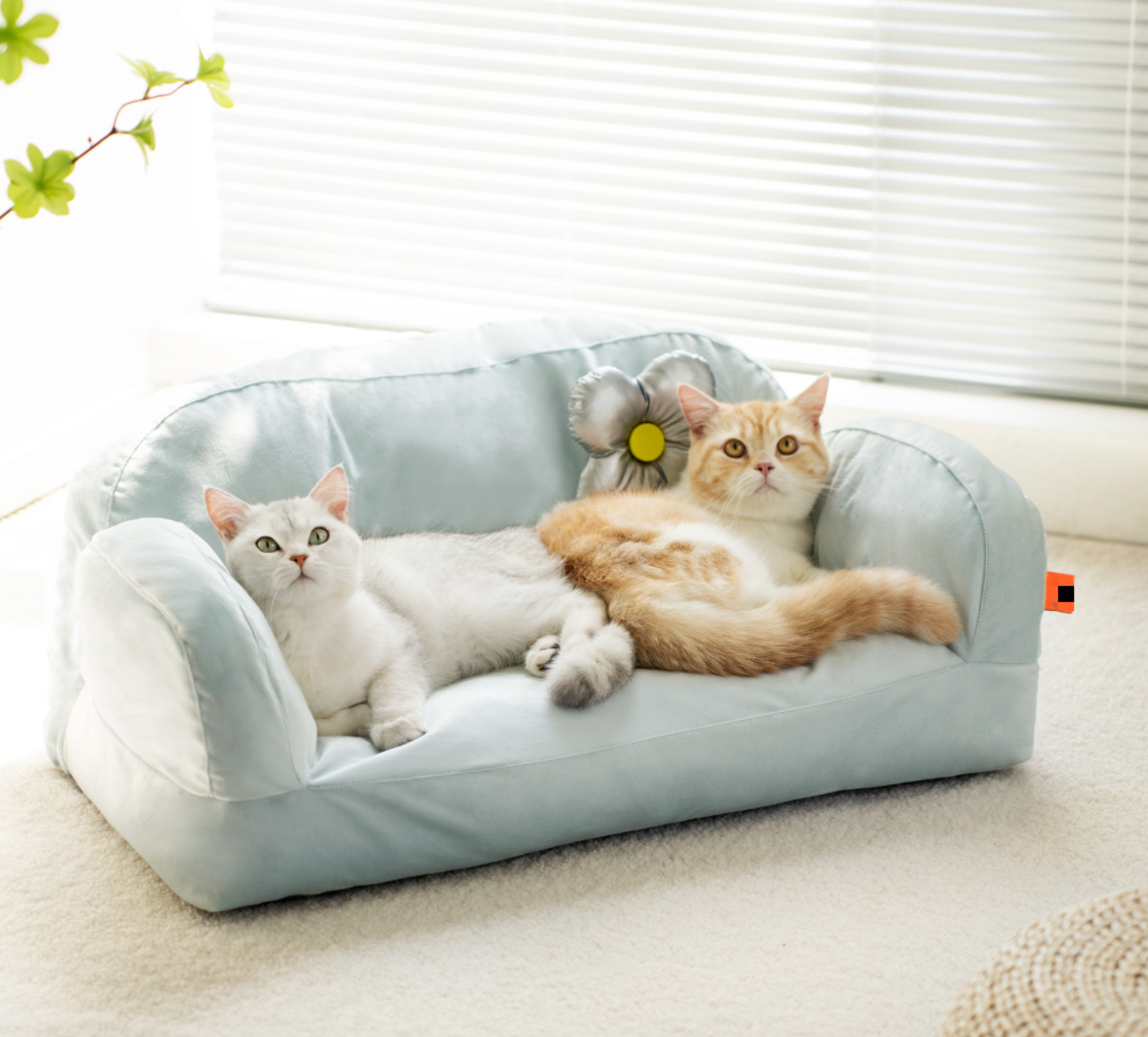 Chenpet New Arrival High Quality  Cat Sofa Easy Clean Velvet Pet Beds