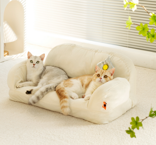 Chenpet New Arrival High Quality  Cat Sofa Easy Clean Velvet Pet Beds