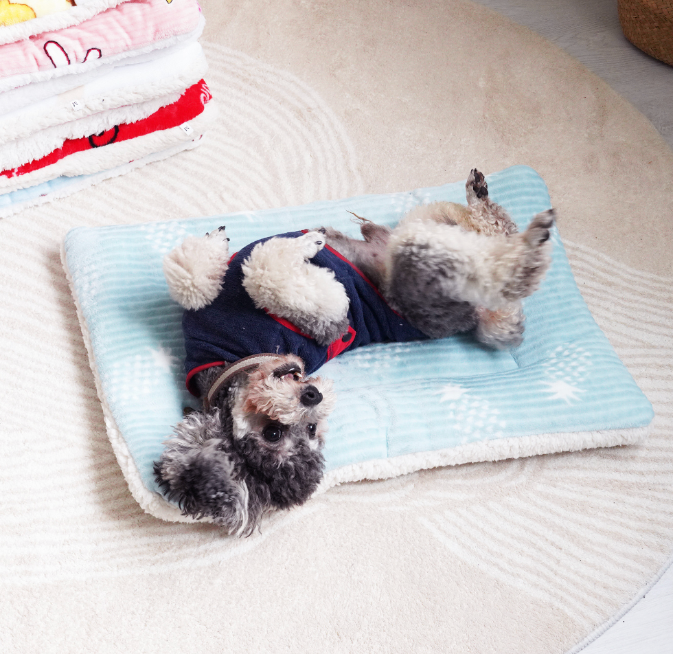 Chenpet Wholesale Pet Plush Mats Available In All Seasons