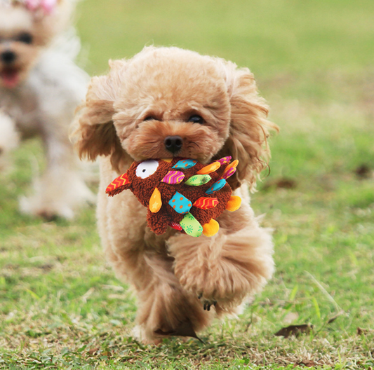 Chenpet Wholesale Customize Pet Plush Toys Dog Chews Toys