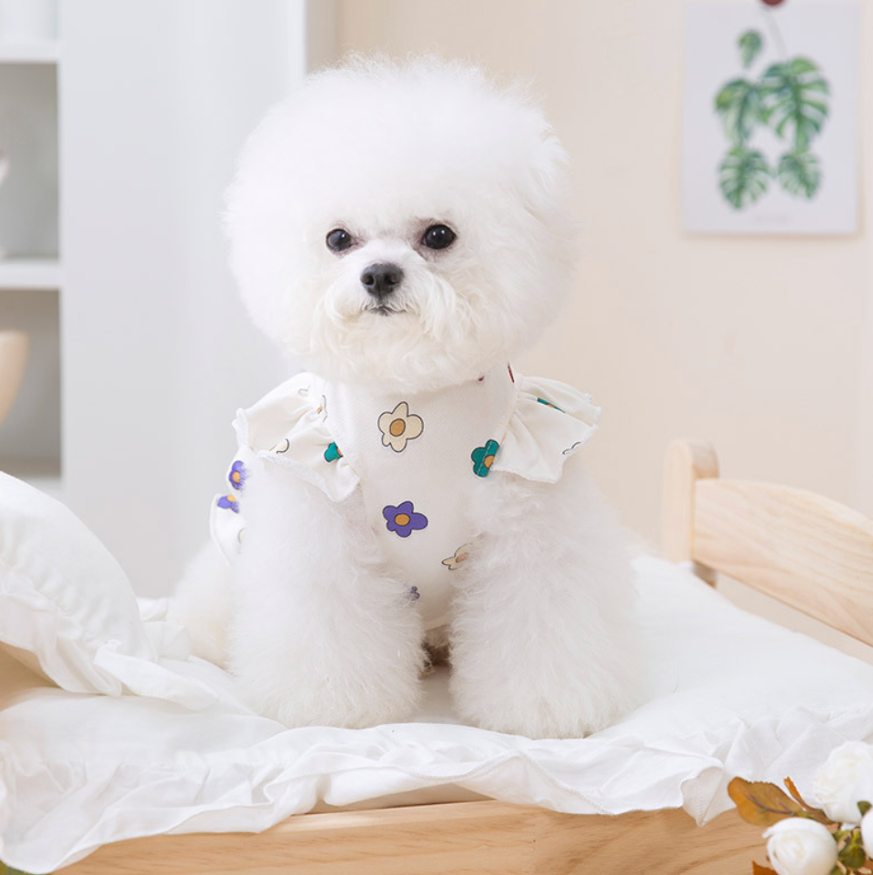 Chenpet Wholesale Cotton Dog Spring & Summer Dresses