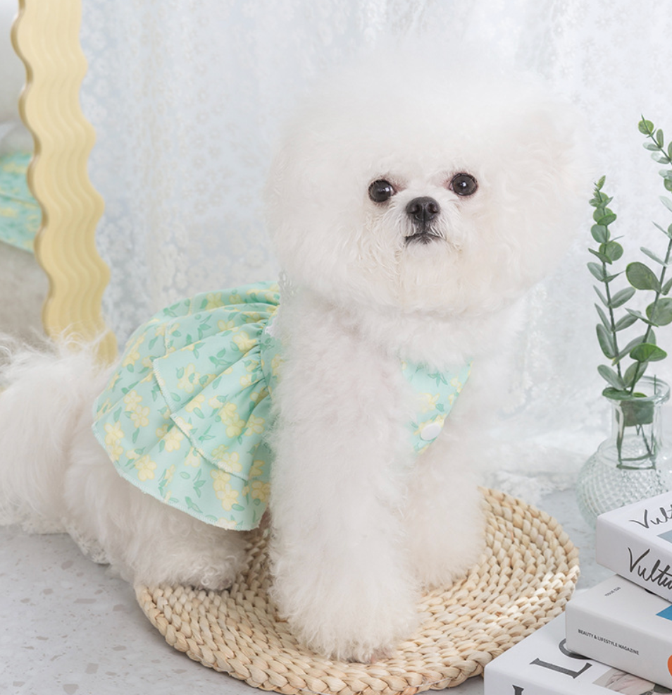 Chenpet New Design S&S Dog Dresses Pet Apparels