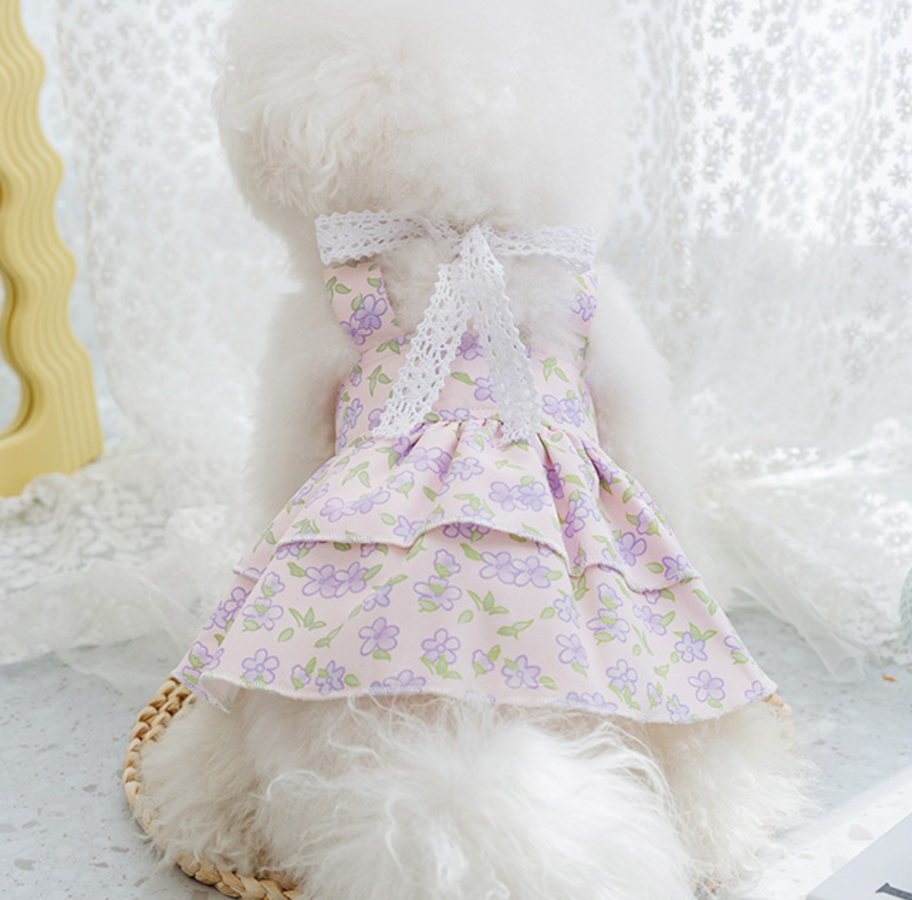 Chenpet New Design S&S Dog Dresses Pet Apparels