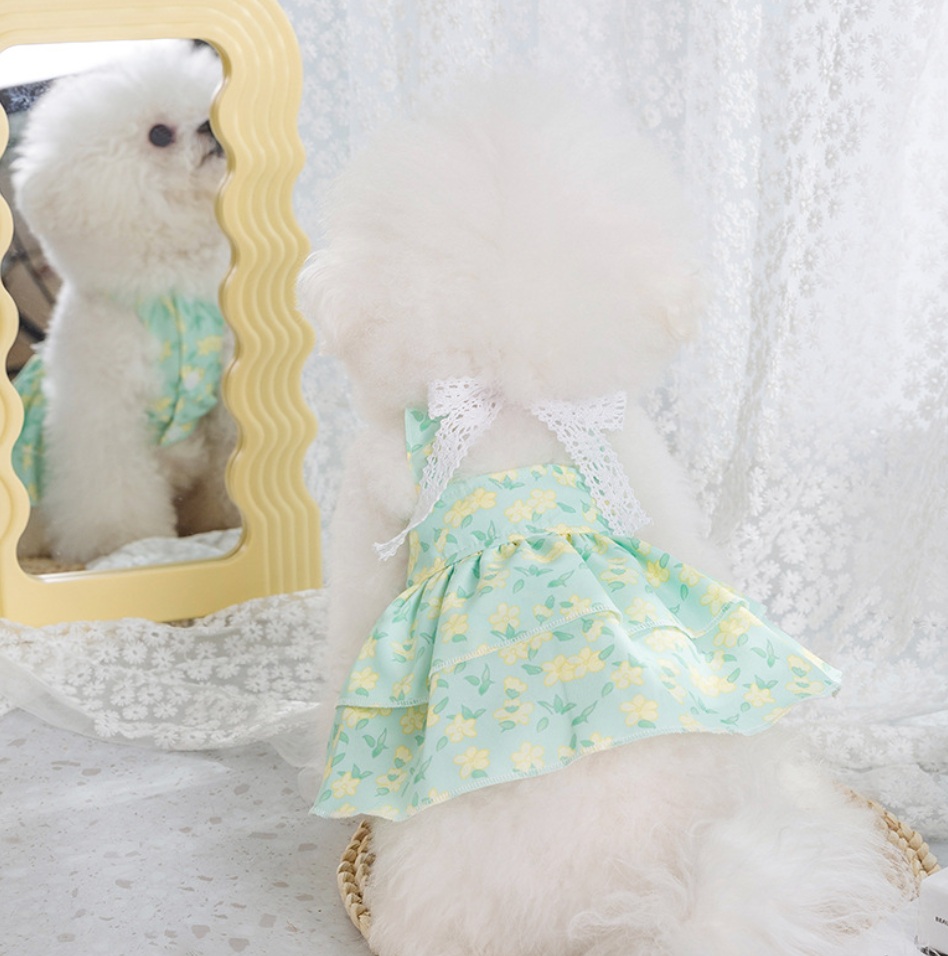 Chenpet New Design S&S Dog Dresses Pet Apparels