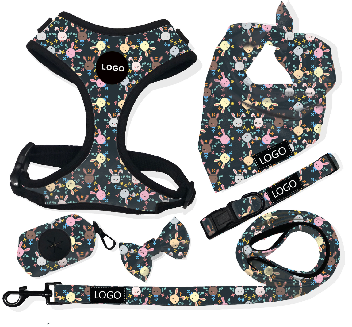 Chenpet Wholesale Dog Collar Series Pet Leashes Customization Designs