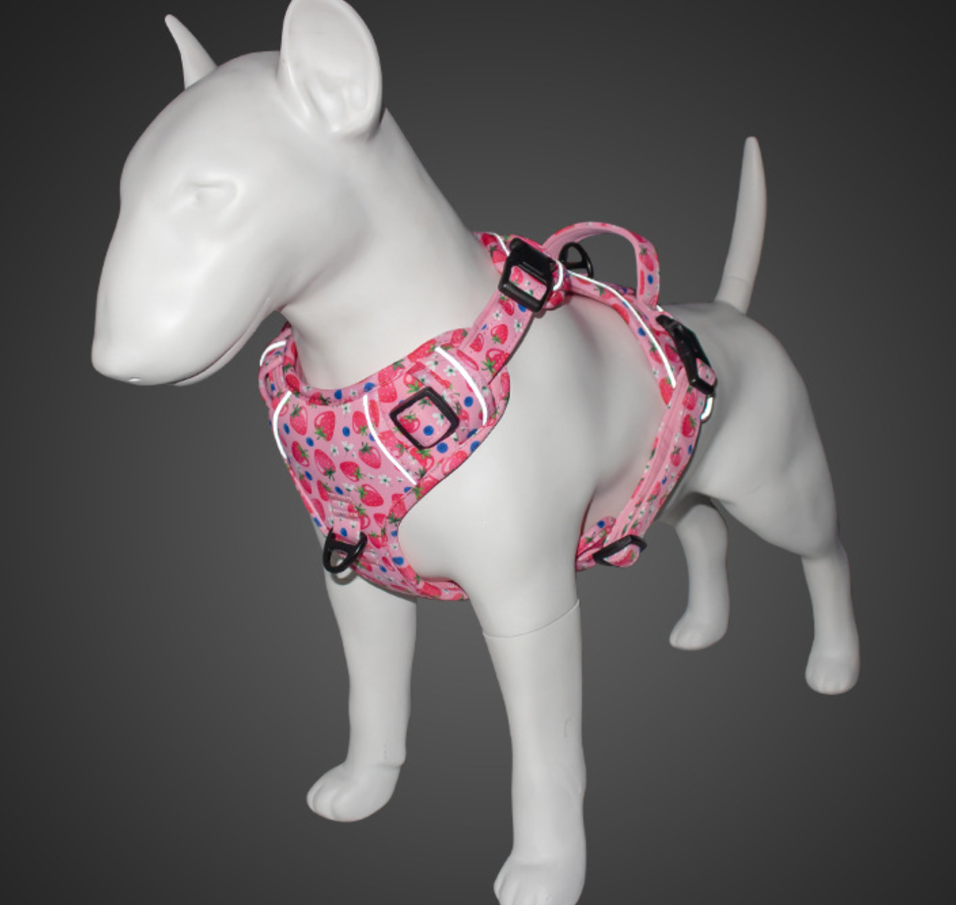 Chenpet Wholesale Pet Collar Sets  Customized Pet Harnesses