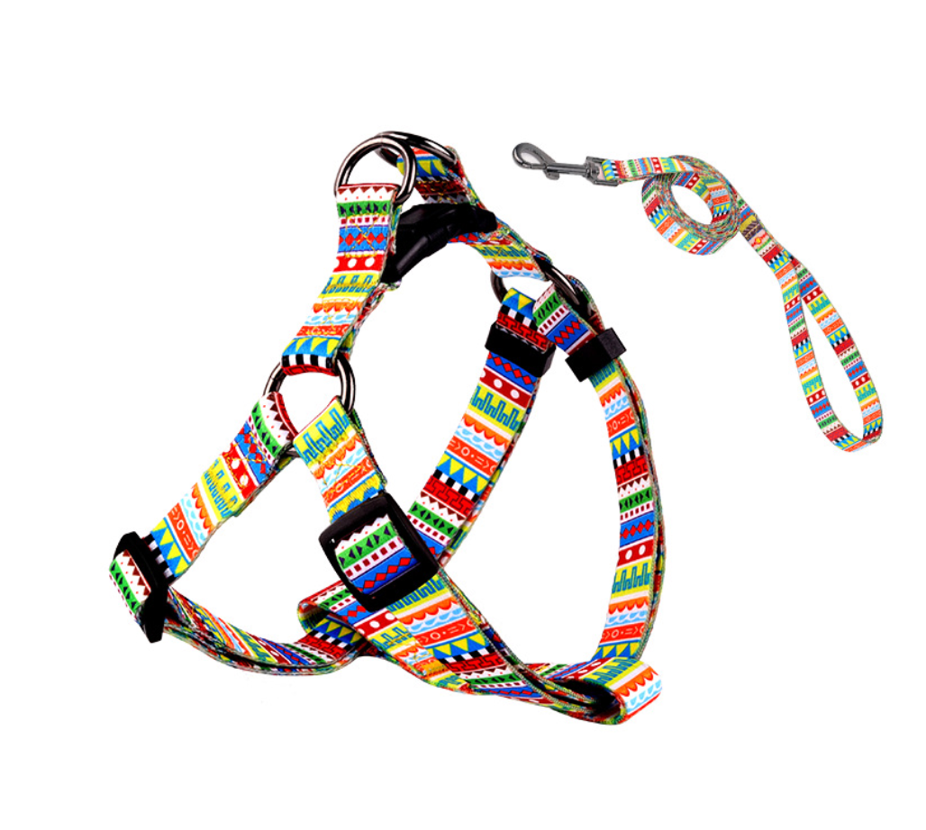 Chenpet Wholesale Pet Collar Custom Dog Collar& leash Design