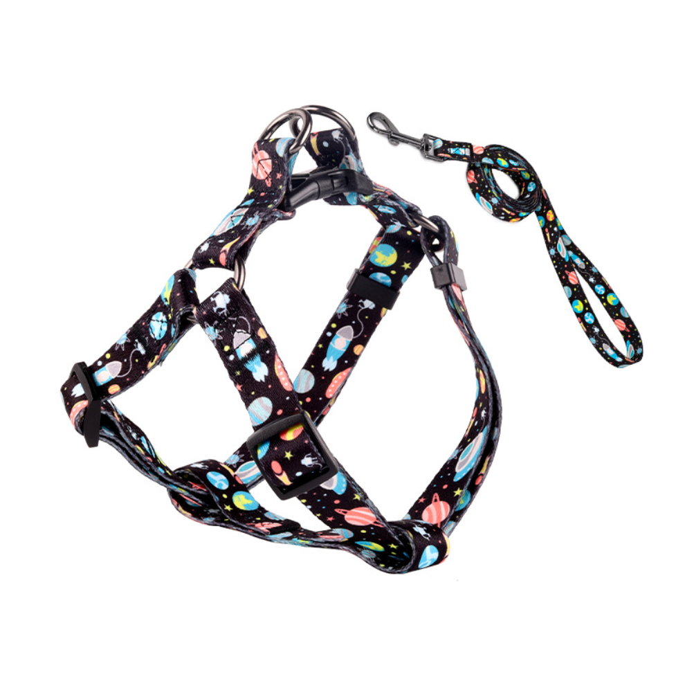 Chenpet Wholesale Pet Collar Custom Dog Collar& leash Design