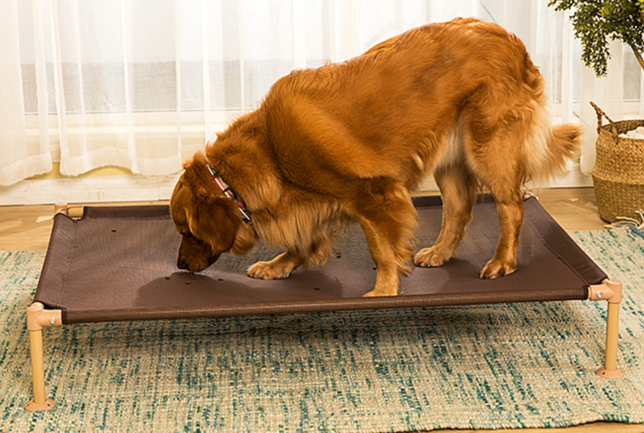 Chenpet New Design Steel Breathable Damp-proof Pet Dog Beds