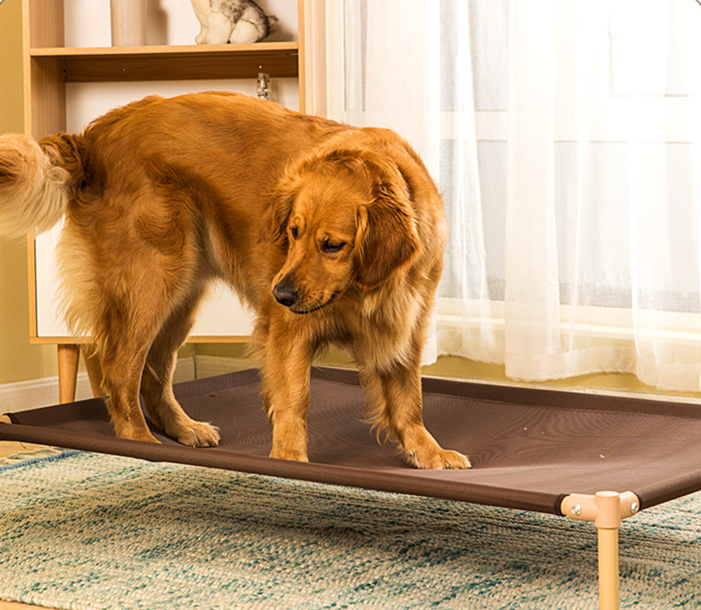 Chenpet New Design Steel Breathable Damp-proof Pet Dog Beds