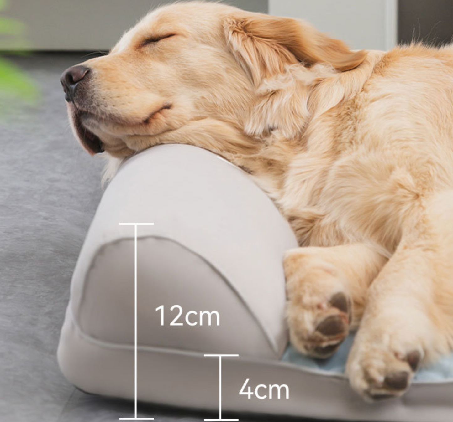 Chenpet Customized Ice Cool Pet Beds Summer Dog Beds
