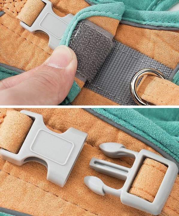 Joint Color Pet Cat Chest &Leash