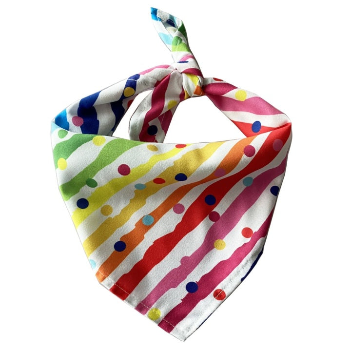 New Design Happy Birthday Party Pet Dog Drool Wipes