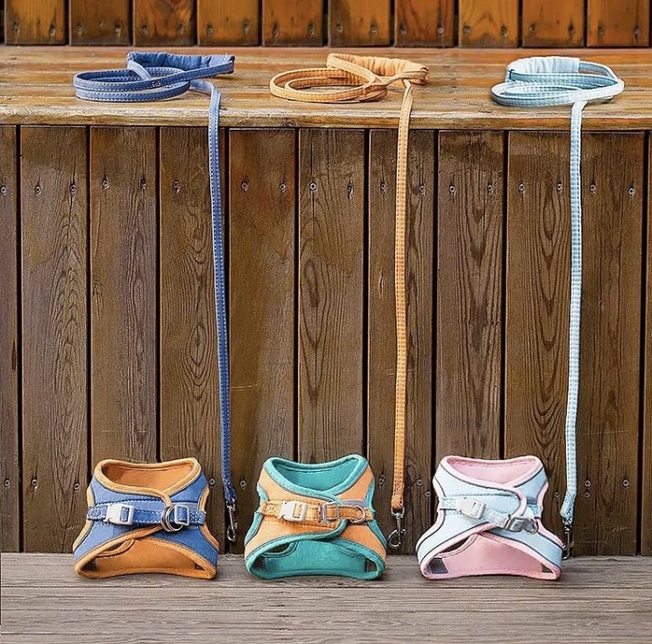 Joint Color Pet Cat Chest &Leash