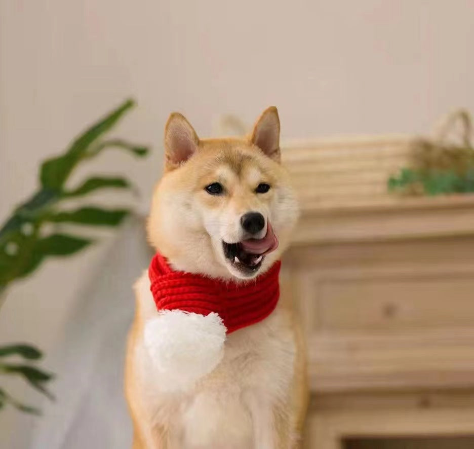 Christmas Seasonal Dog Red Pet Knit Scarf With Stock