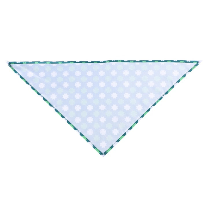 Special St. Patrick's Day Single Pet Dog Drool Wipes