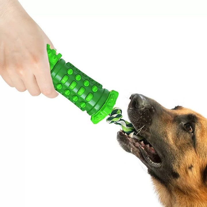 Chenpet High Popular ABS Dog Chew Toys Pet Play Toys