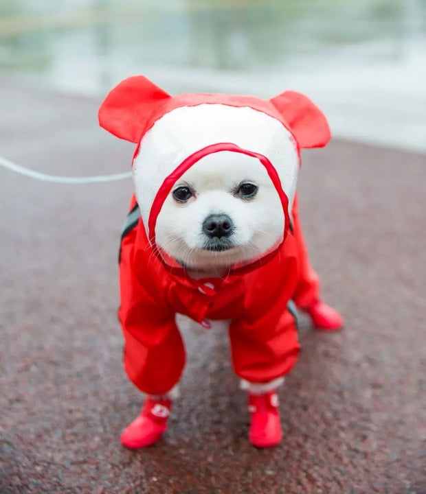 Hot Sell Cute Waterproof Pet Dog Rain Coat