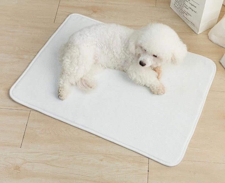 Wholesaler Fleece Warm Pet Mat Multiple Color Dod Mat