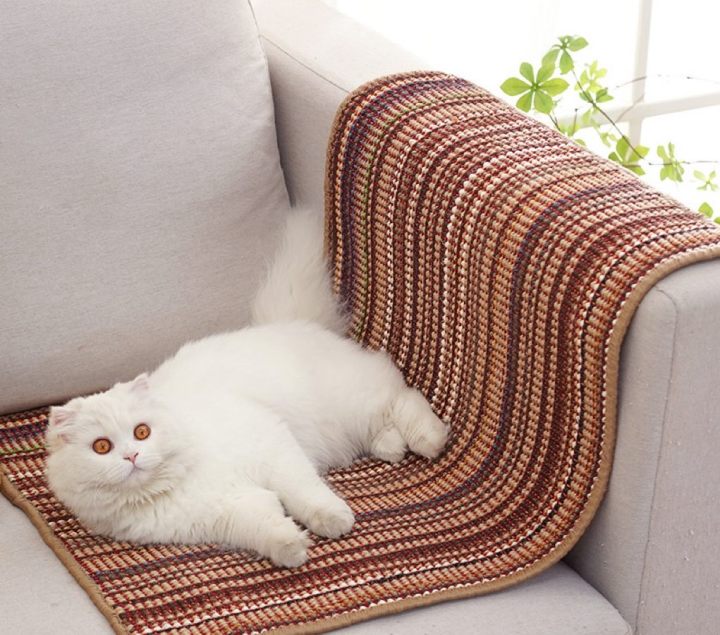 Manufacture  Excellent Quality Sisal Mat Pet Mat