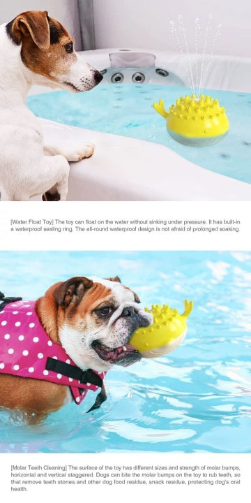Chenpet New Arrival Dog Summer Water Toys Pet Play