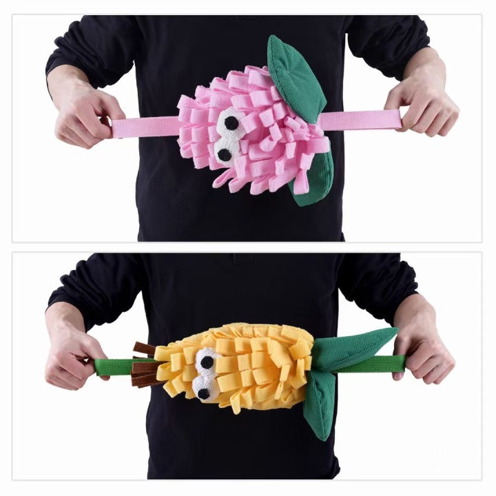 Chenpet Durable Vegetables Style Customizable Pet Feeding Toys