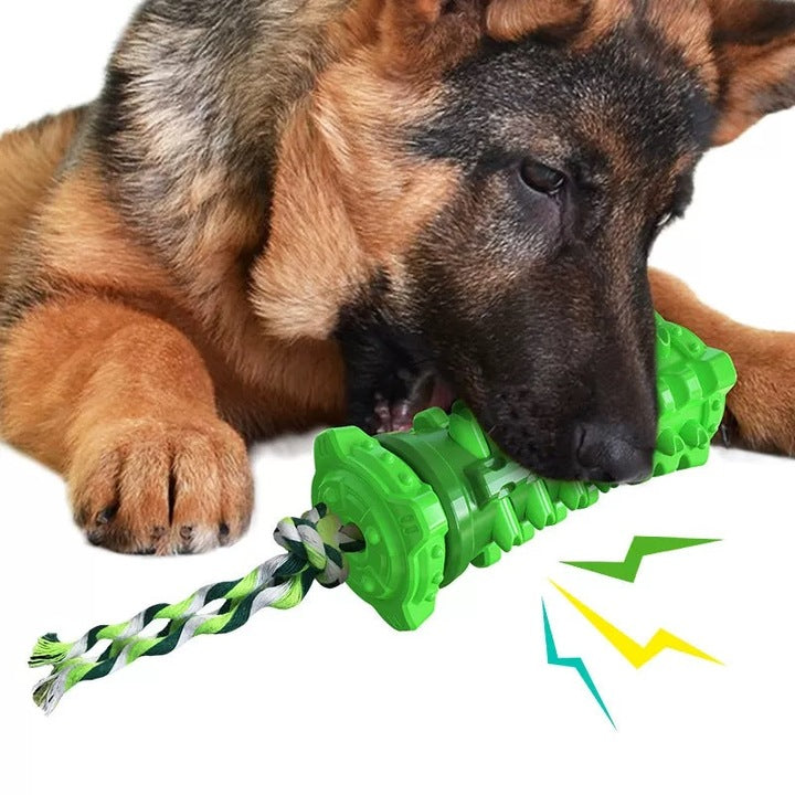 Chenpet High Popular ABS Dog Chew Toys Pet Play Toys