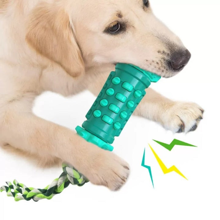 Chenpet High Popular ABS Dog Chew Toys Pet Play Toys