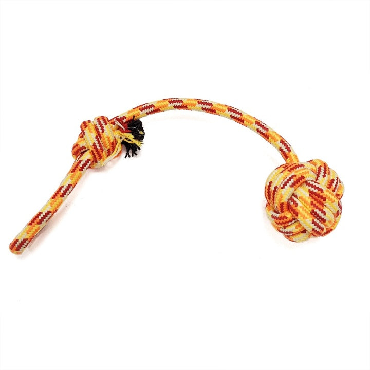 Chenpet Manufacturer TPR Clean Teeth Dog Chew Toys