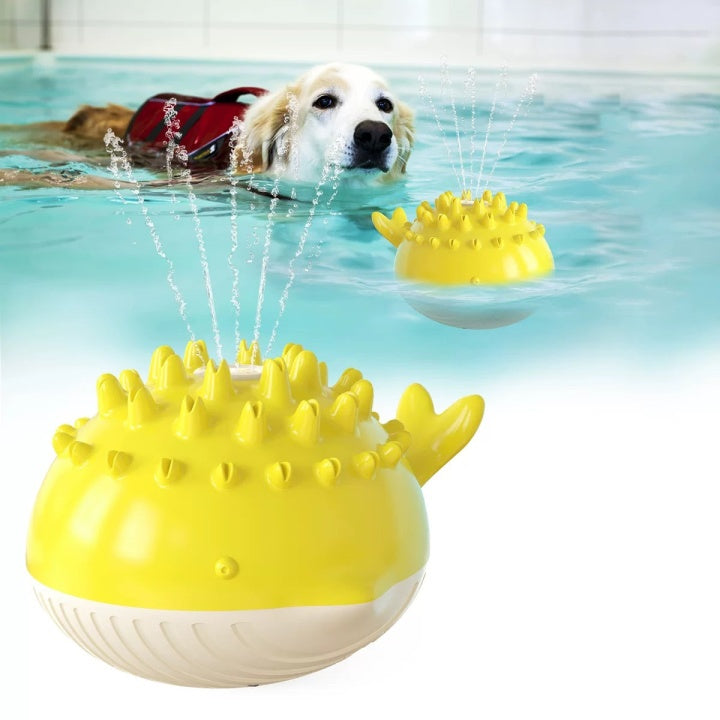 Chenpet New Arrival Dog Summer Water Toys Pet Play