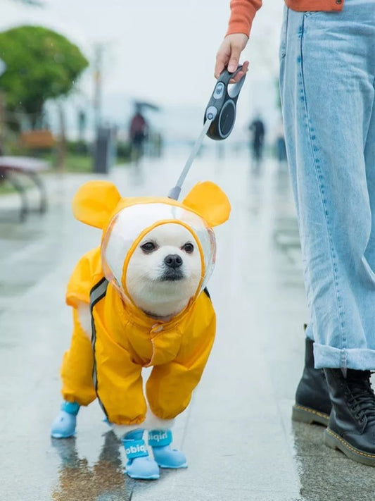Hot Sell Cute Waterproof Pet Dog Rain Coat