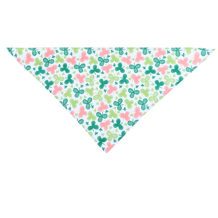Special St. Patrick's Day Single Pet Dog Drool Wipes