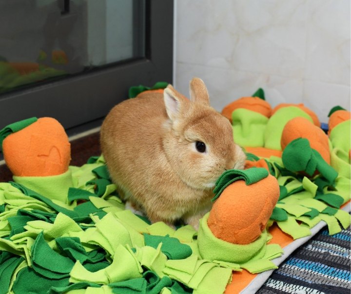 New Carrot Design Pet Snuffle Eat Slowly Mat