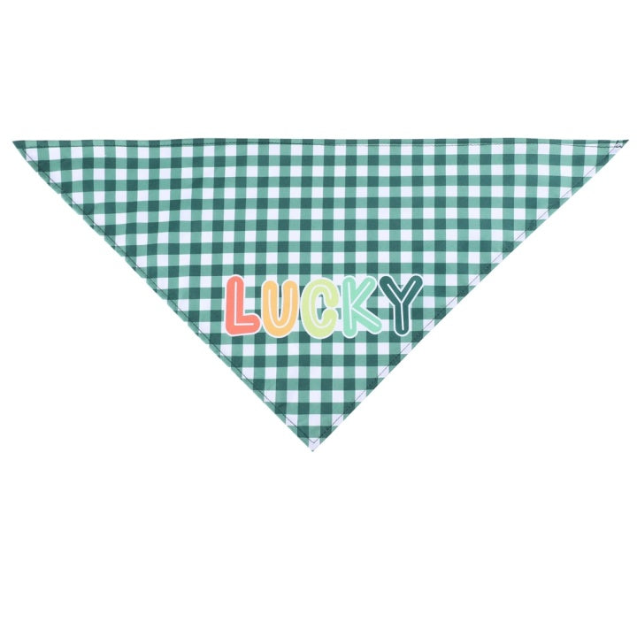 Special St. Patrick's Day Single Pet Dog Drool Wipes