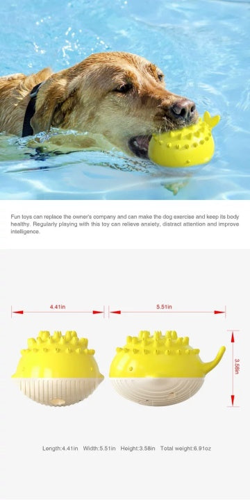 Chenpet New Arrival Dog Summer Water Toys Pet Play