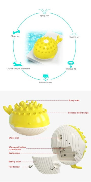 Chenpet New Arrival Dog Summer Water Toys Pet Play
