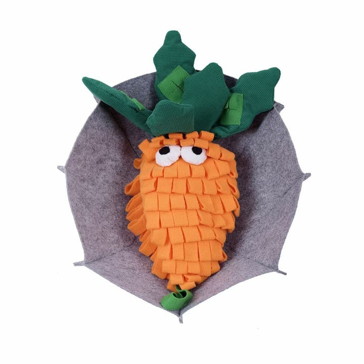Chenpet Durable Vegetables Style Customizable Pet Feeding Toys