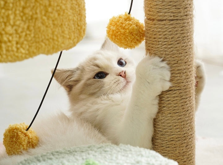 Wholesale New Design Cactus Cat Trees Cat Climbing